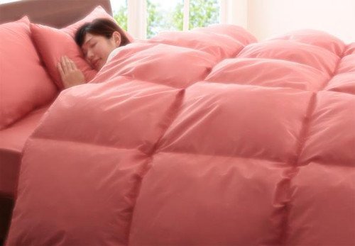 数量限定 未使用訳あり スモールフェザー100％ 羽根布団 シングル 8点