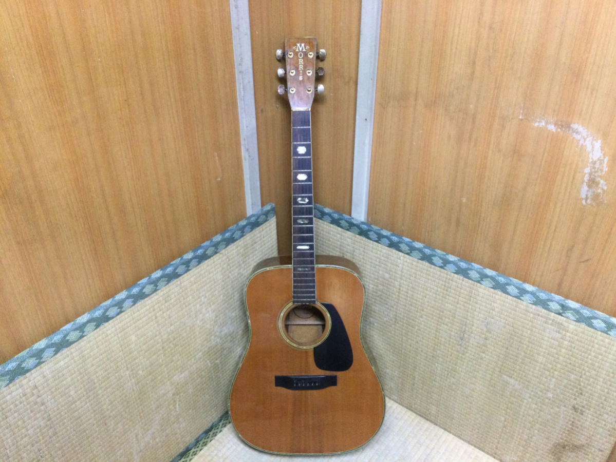 ☆ Morris モーリス TF-501 アコースティックギター アコギ 弦楽器