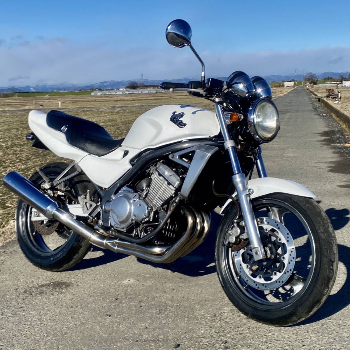 カワサキ バリオス250 1型 ZR250A 始動 書類付 現状車 カラー白 検 CB カワサキ バリオス250 1型 ZR250A 始動 書類付 現状車 カラー白 検 CB