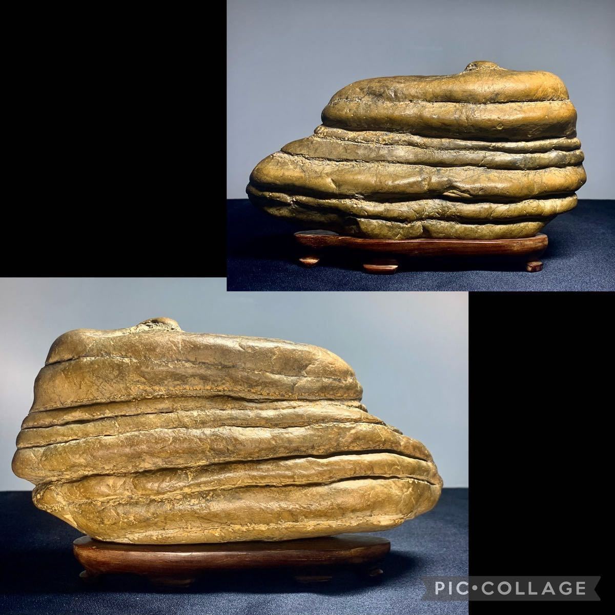 初売り】水石 盆栽 瀬田川虎石 茅舎石 ウブ 桐箱付 横20×高13×奥行4(cm 