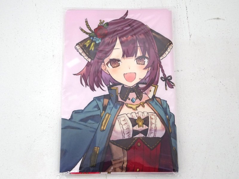☆未使用☆ソフィーのアトリエ2 描き下ろしA4キャラファイングラフ 