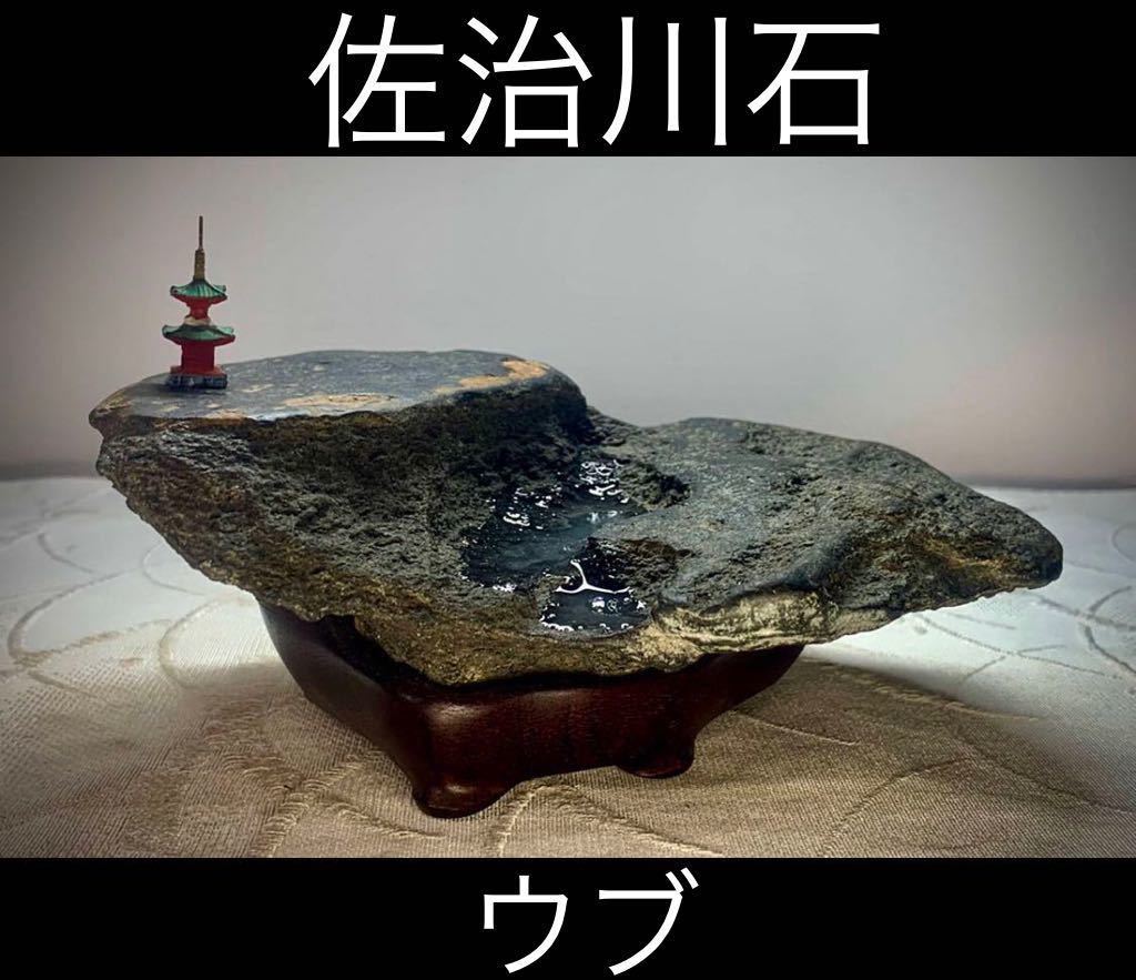 雨竹亭] 神居古潭石(台座付) k9801 添景/添配/水石/盆石/鑑賞石