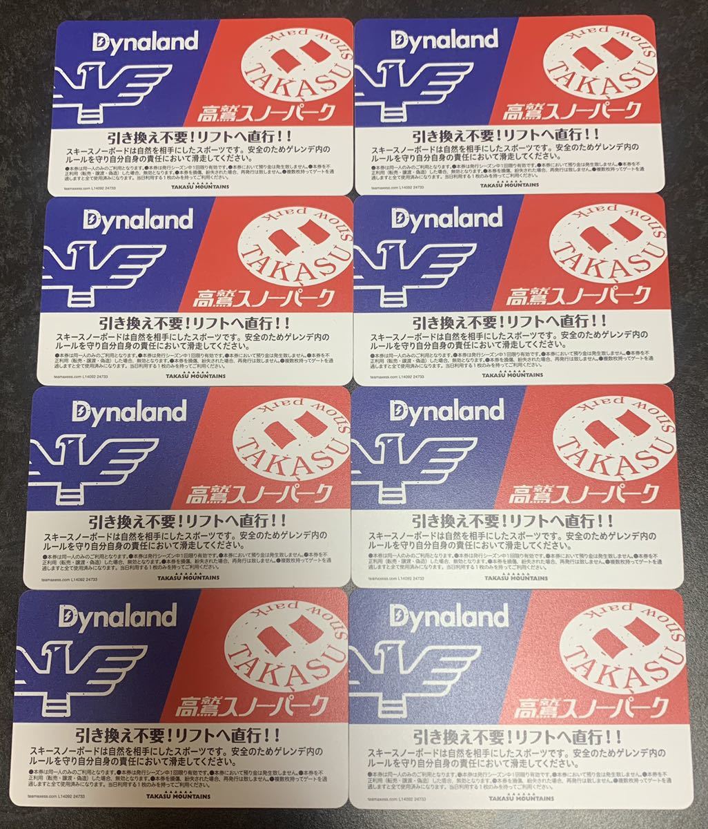Dynaland 高鷲スノーパーク リフト券 2枚 高鷲ダイナ共通リフト券 2枚
