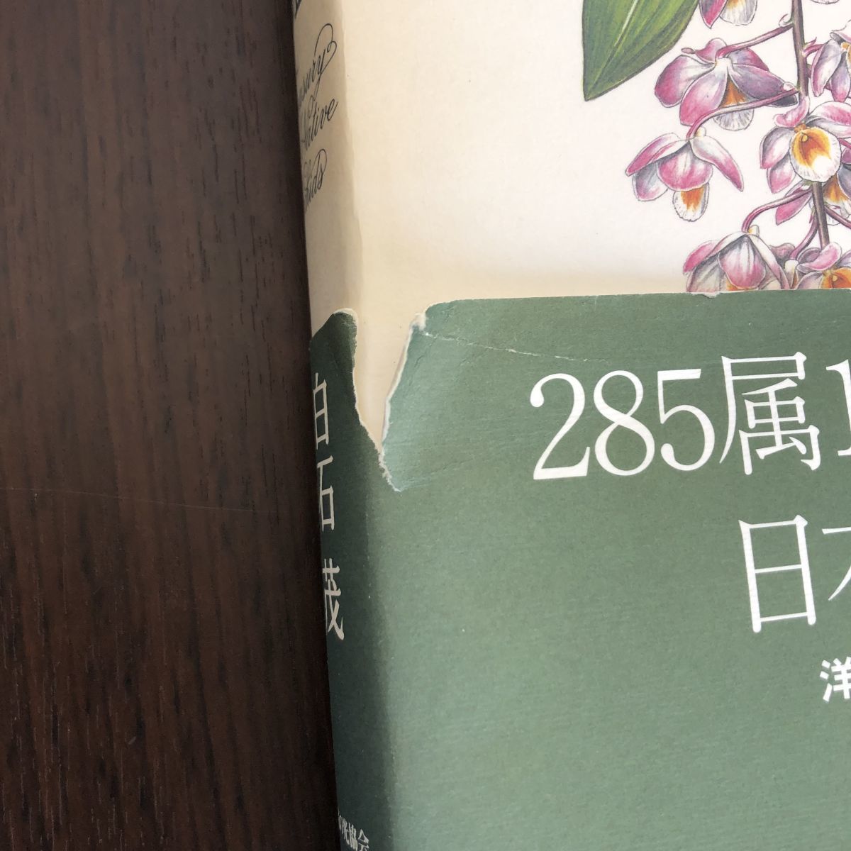 原種洋蘭大図鑑 | 白石茂 285属1198種収録 公式通販 白石