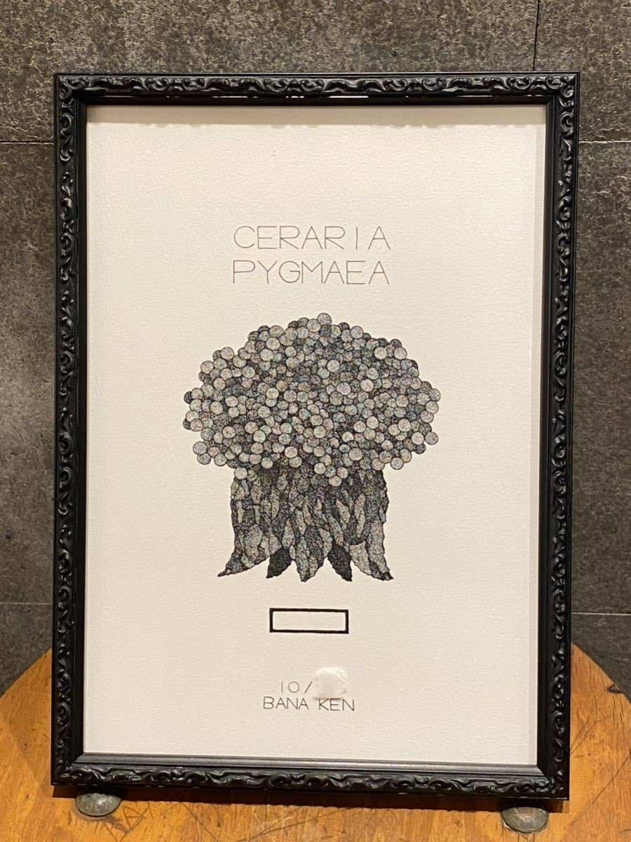 invisible ink × botanize × BANAKEN 点描画