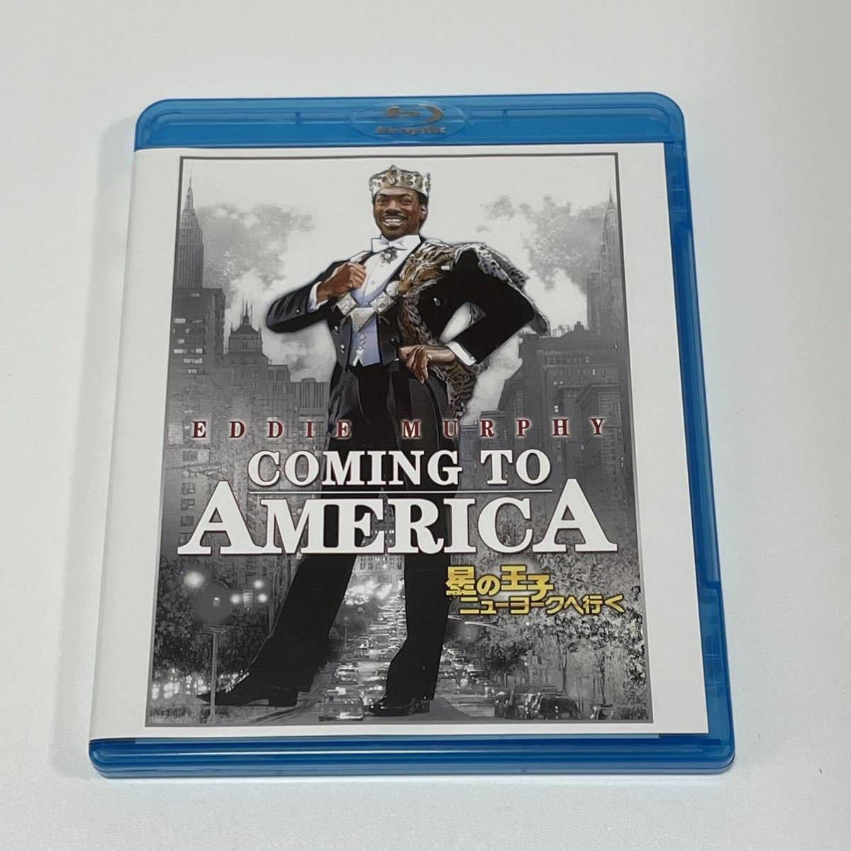 星の王子ニューヨークへ行くの値段と価格推移は 136件の売買情報を集計した星の王子ニューヨークへ行くの価格や価値の推移データを公開 星の王子ニューヨークへ行くの値段と価格推移は 136件の売買情報を集計した星の王子ニューヨークへ行くの価格や価値の推移データを公開