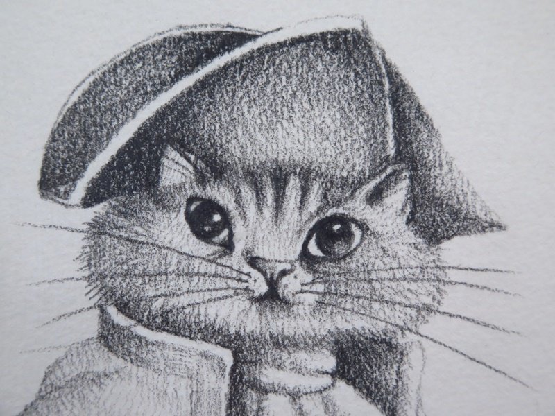 デッサン 原画 小澤摩純 Admiral Cat 提督猫 裏に直筆サイン有 有名