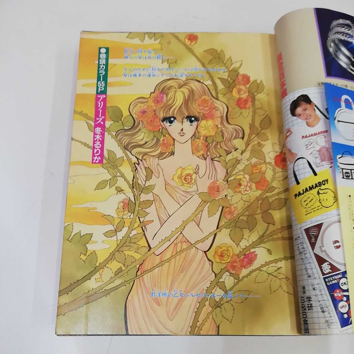 月刊プリンセス　新年特大号　1978年（昭和53）1月1日号　秋田書店 月刊プリンセス 1979年昭和54年 1月号 新年特大号 秋田書店 プリンセス