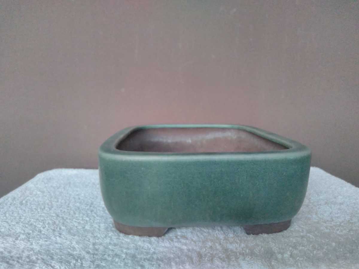 中古】盆栽鉢 常滑 山秋造 松泉焼 中型 長辺 約32cm 長方鉢 窓入 黄釉
