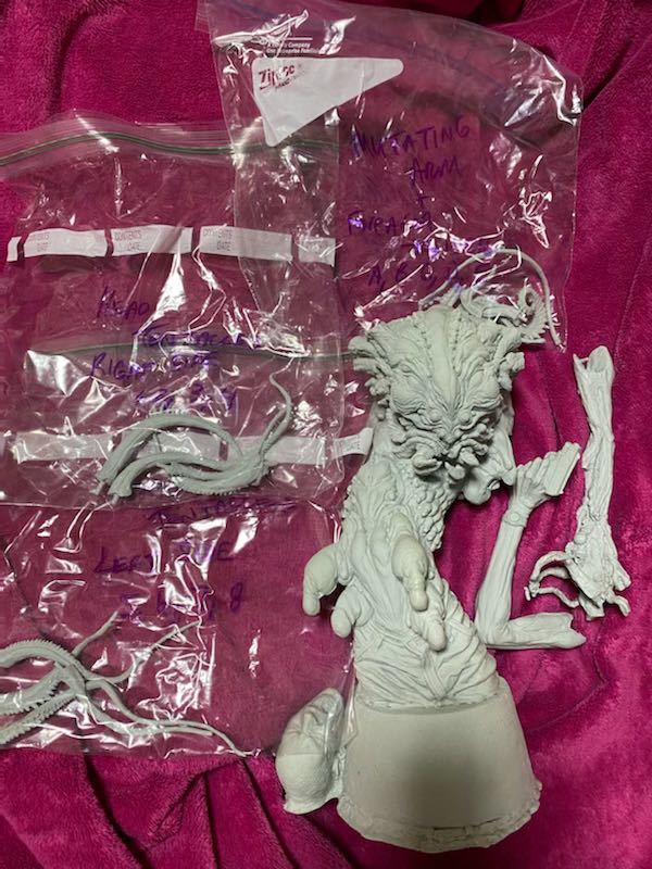 マンチェスターユナイテッド ザ ダブル 95/96 エリックカントナ デッド