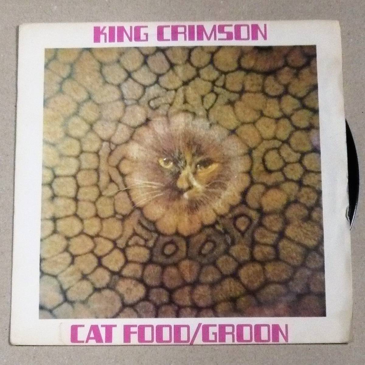 Cat Food King Crimson | – - Lyrics Anniversary 50th Genius Food