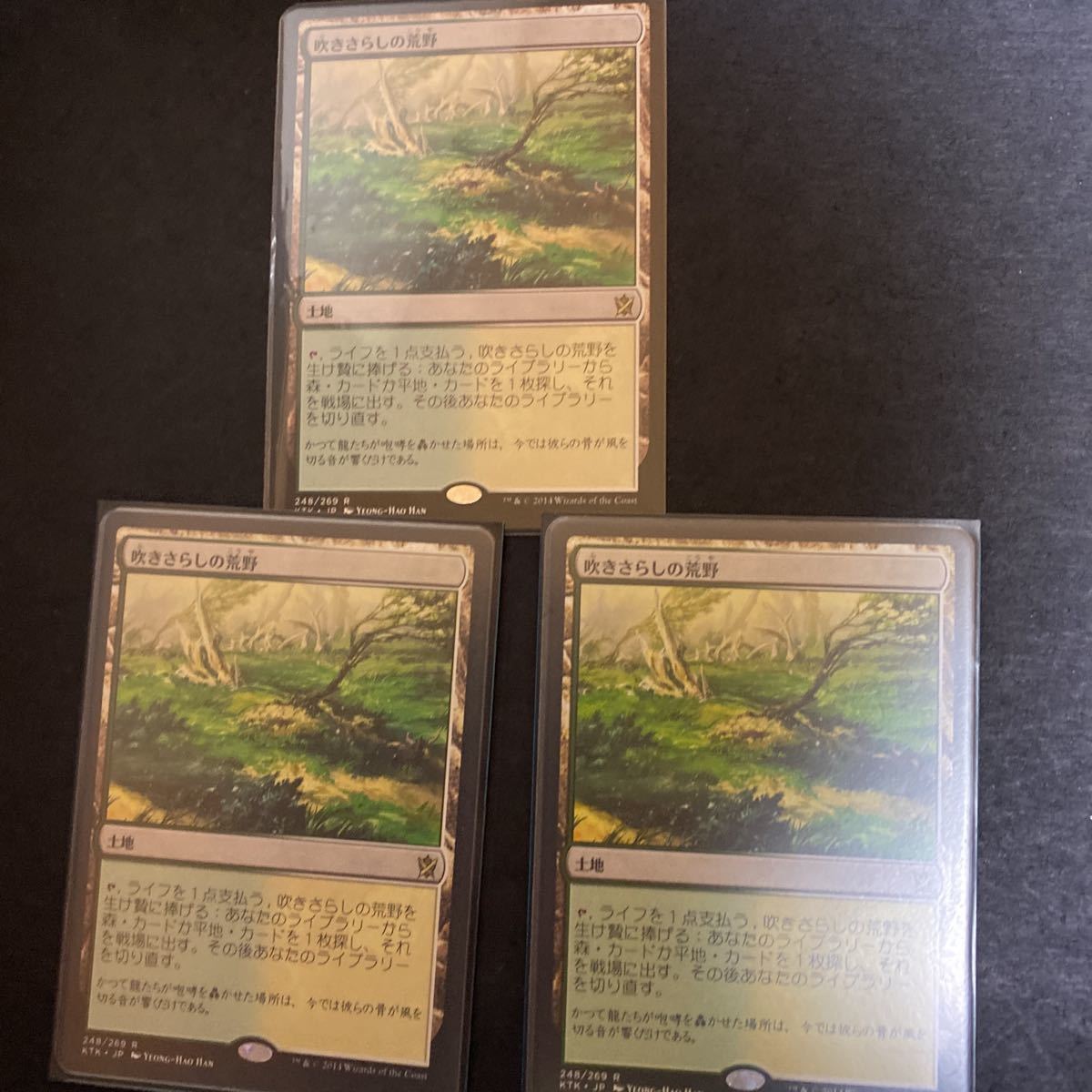 吹きさらしの荒野⁄Windswept Heath MTG 吹きさらしの荒野 ONS 日本語版