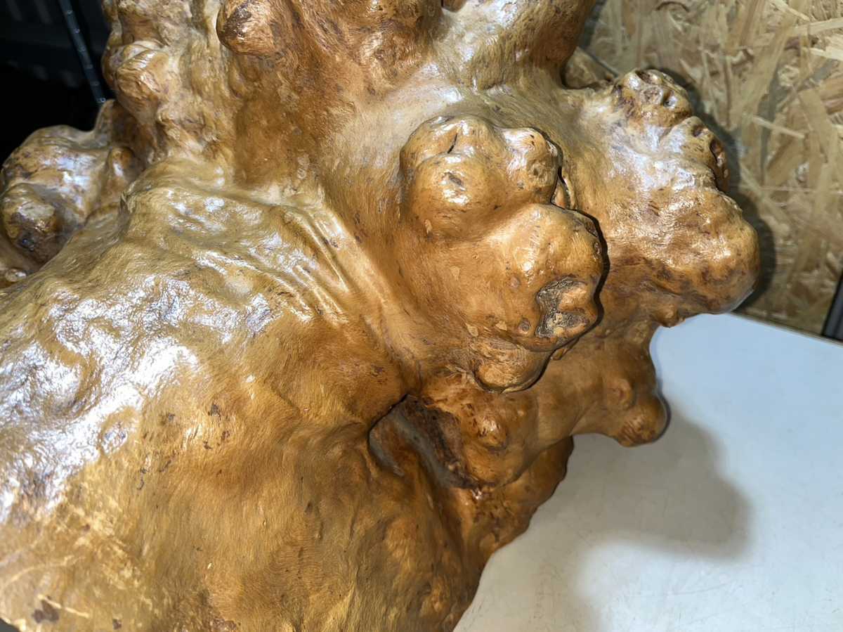 〇 巨大瘤 コブ 無垢 木製 玉杢 全高44cm 幅45cm 厚み31cm 重量24.5Kg 