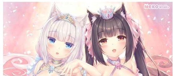 ☆新品未開封】 ネコぱら vol.4 とらのあな限定有償特典 A1 