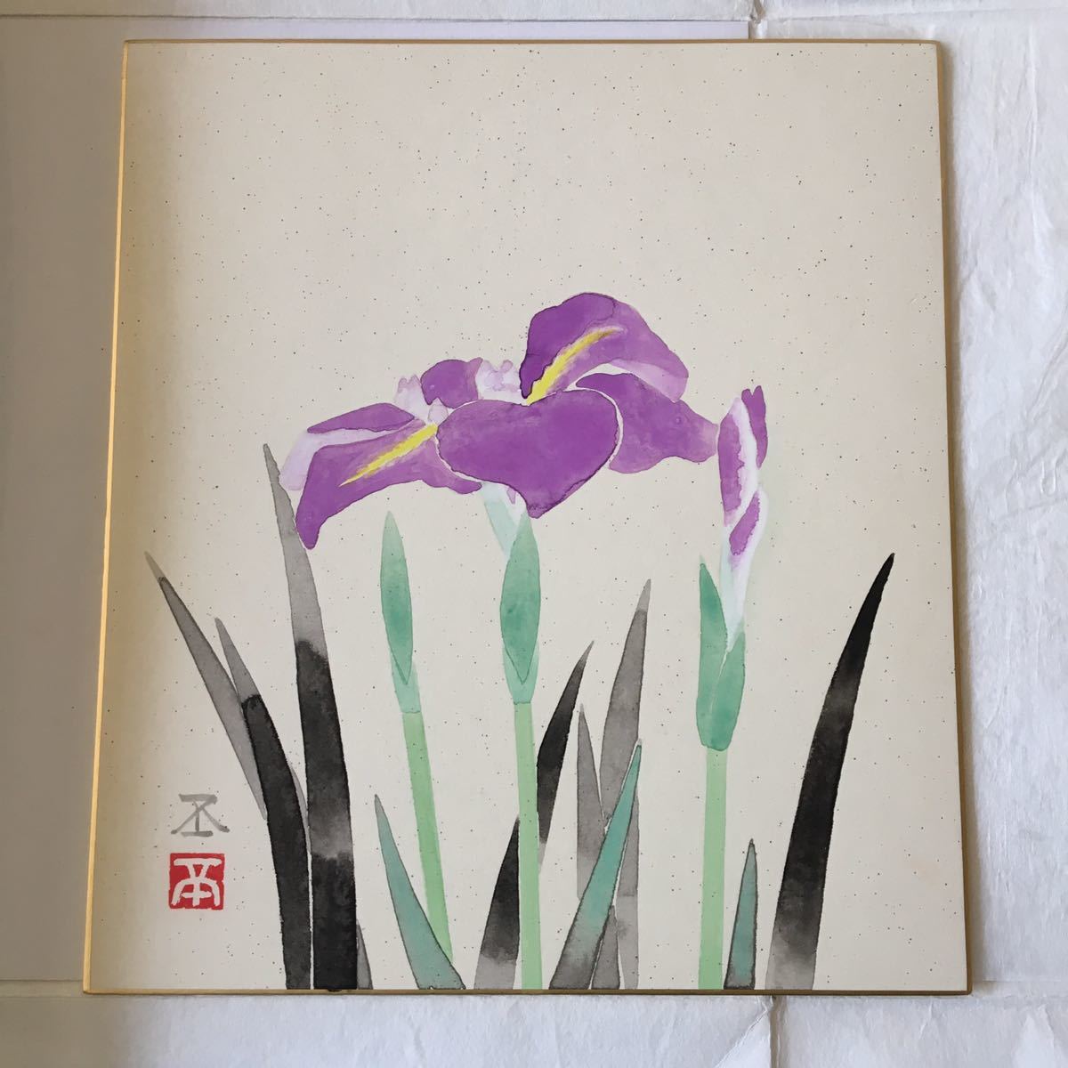 丸山 丕 花しょうぶ 色紙 直筆 肉筆 日本画 水彩画 花 菖蒲 絵画 1-11