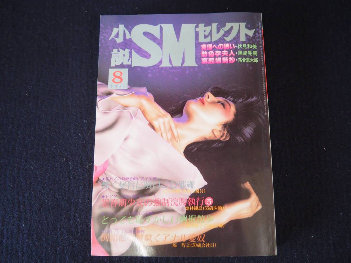 小説SMセレクト 1985年8月号 昭和60年8月1日発行 東京三世社 -闇の性