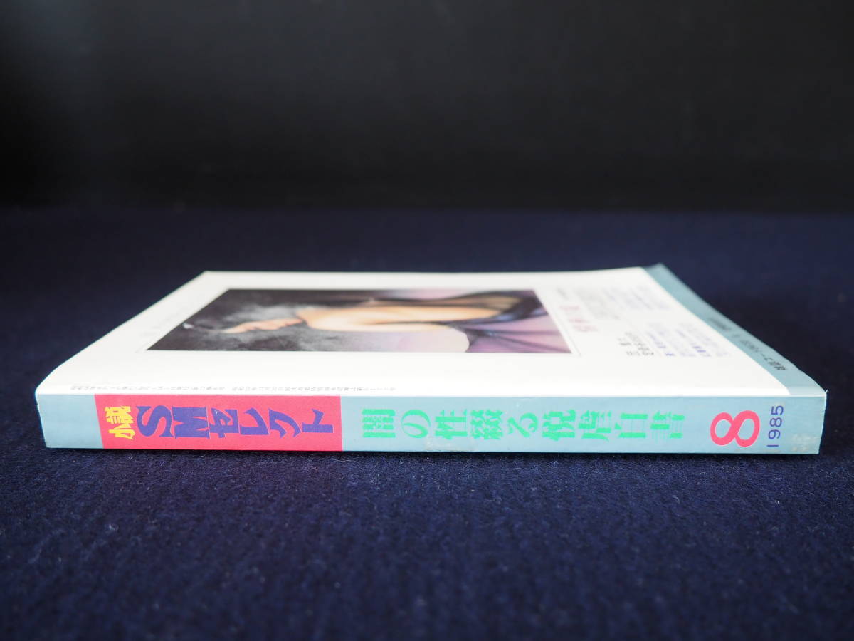 小説SMセレクト 1985年8月号 昭和60年8月1日発行 東京三世社 -闇の性