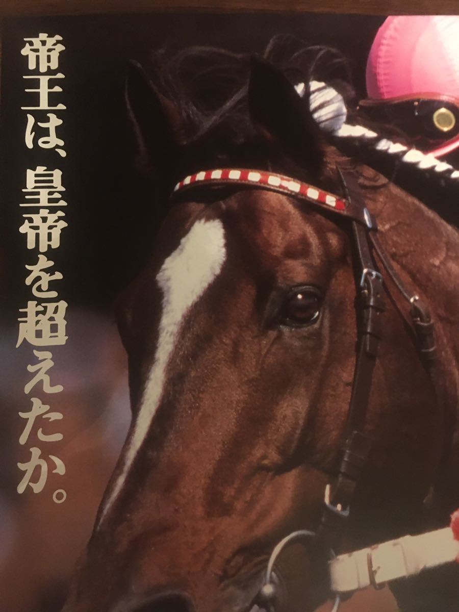 ヒーロー列伝ポスタートウカイテイオー JRA年度代表馬ポスター☆激レア
