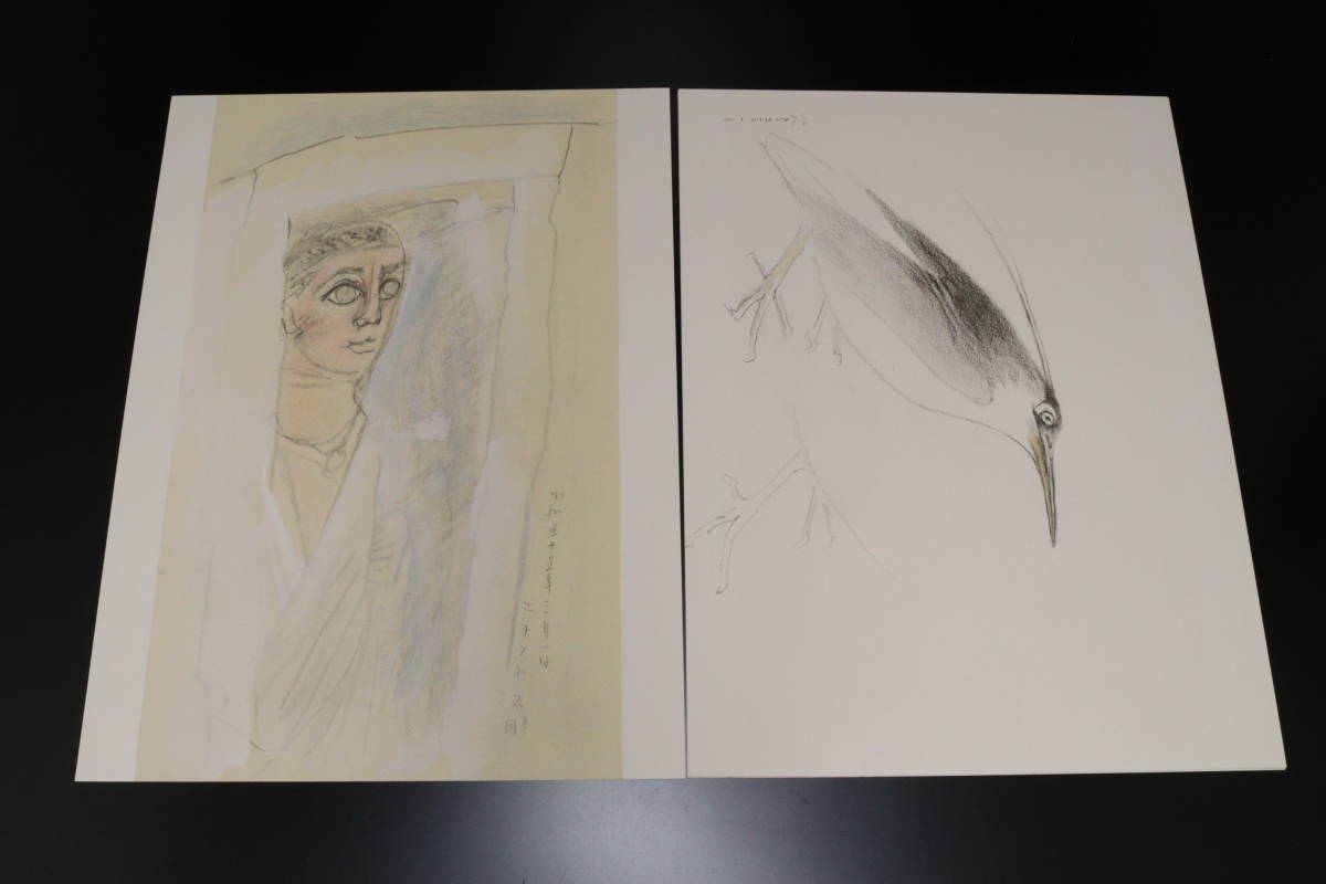 昭和56年 奥村土牛自選素描作品集 「土牛素描」 オリジナルリトグラフ 