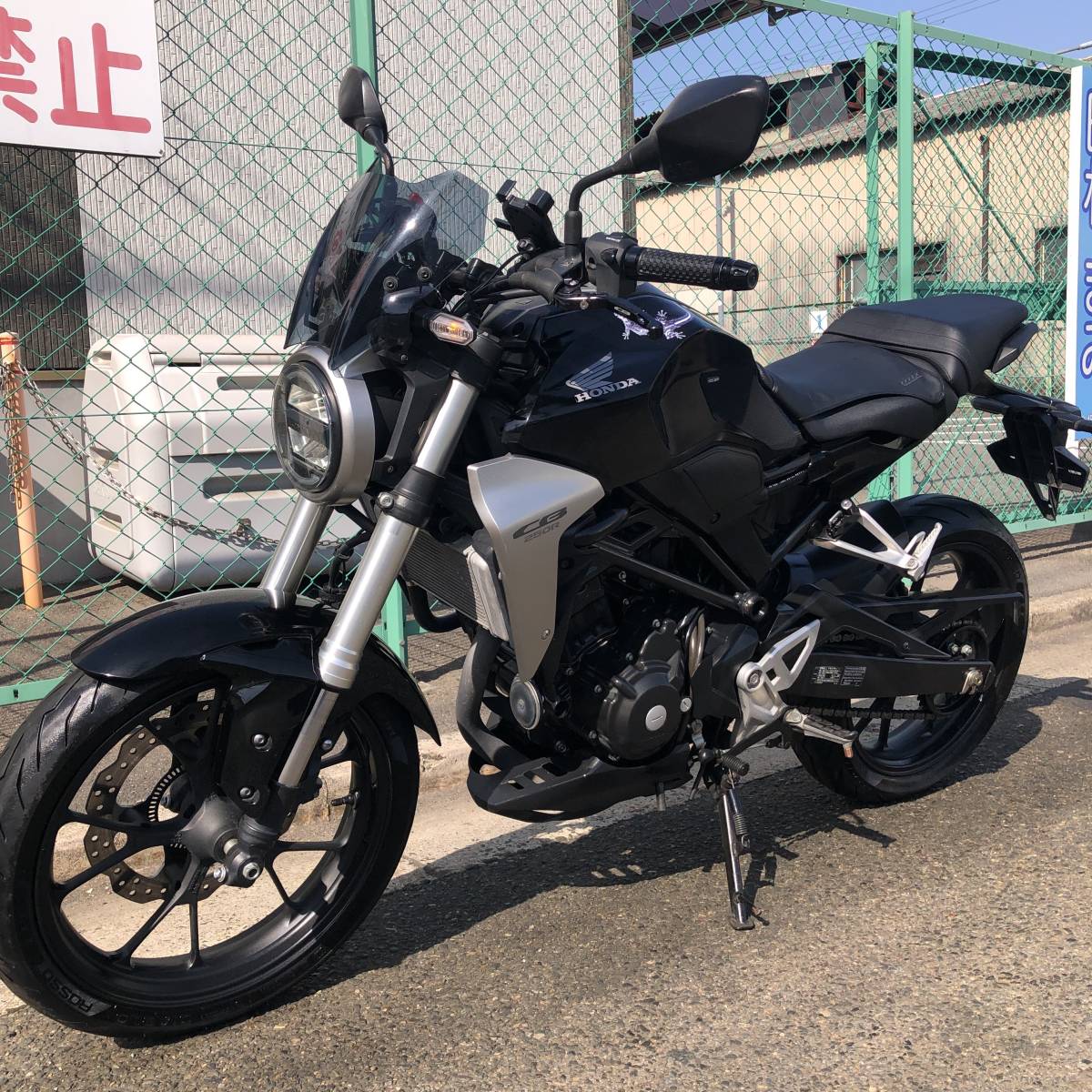 x1086641453.7.jpg