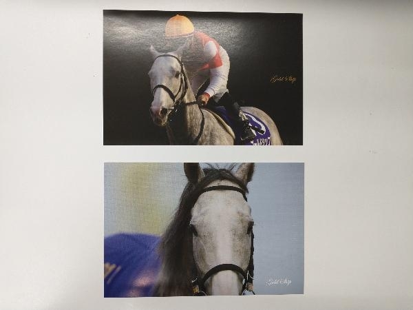 優駿 特別編集 永久保存版 ゴールドシップ 写真集&DVD 黄金の帆を揚げ 優駿 特別編集 永久保存版 ゴールドシップ 写真集&DVD 黄金の帆を揚げ