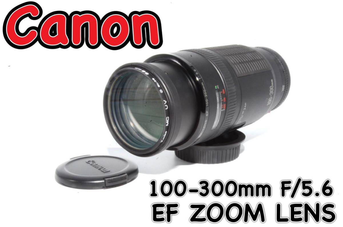 Canon EF 100-300mm 5.6 直進 望遠ズームレンズ EF 100-300mm Canon