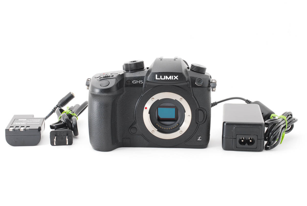 Panasonic パナソニック RD-SPM049 (DC-GH5) ボディ 電源付き 【現状品