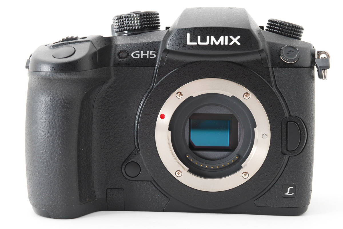パナソニック Panasonic LUMIX RD-SPM049 (GH5) Panasonic パナソニック RD-SPM049 (DC-GH5) ボディ 電源付き 【現状品