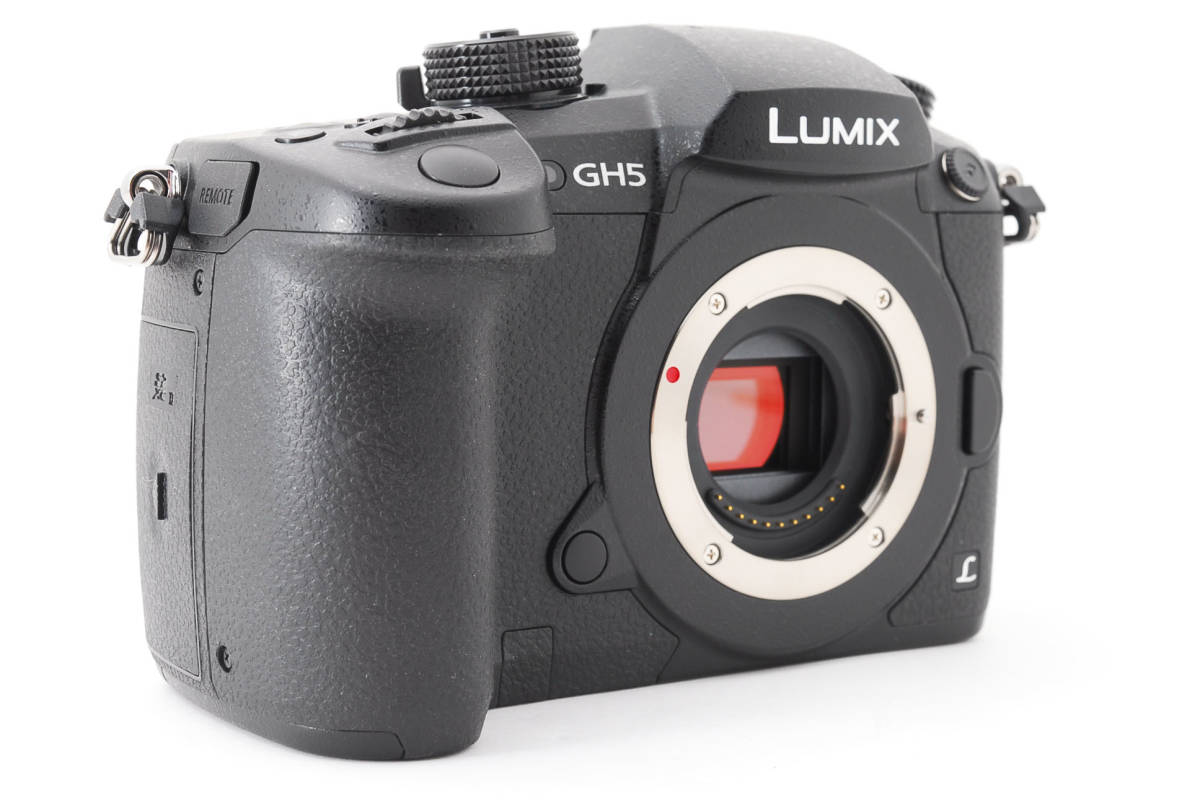 Panasonic パナソニック RD-SPM049 (DC-GH5) ボディ 電源付き 【現状品