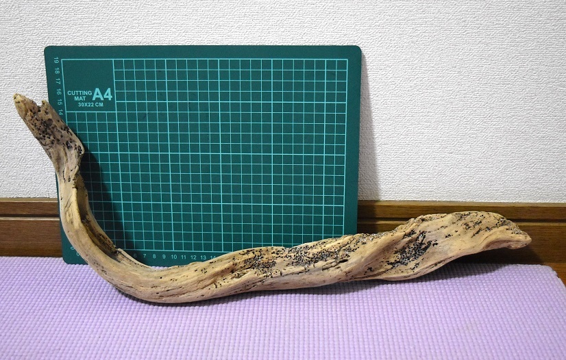 送料込み！宅急便　流木　アクアリウム　熱帯魚　苔リウム　水槽用流木　亀・爬虫類おやすみ所に　009_1