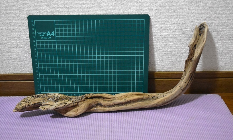 送料込み！宅急便　流木　アクアリウム　熱帯魚　苔リウム　水槽用流木　亀・爬虫類おやすみ所に　009_2