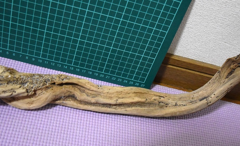 送料込み！宅急便　流木　アクアリウム　熱帯魚　苔リウム　水槽用流木　亀・爬虫類おやすみ所に　009_3