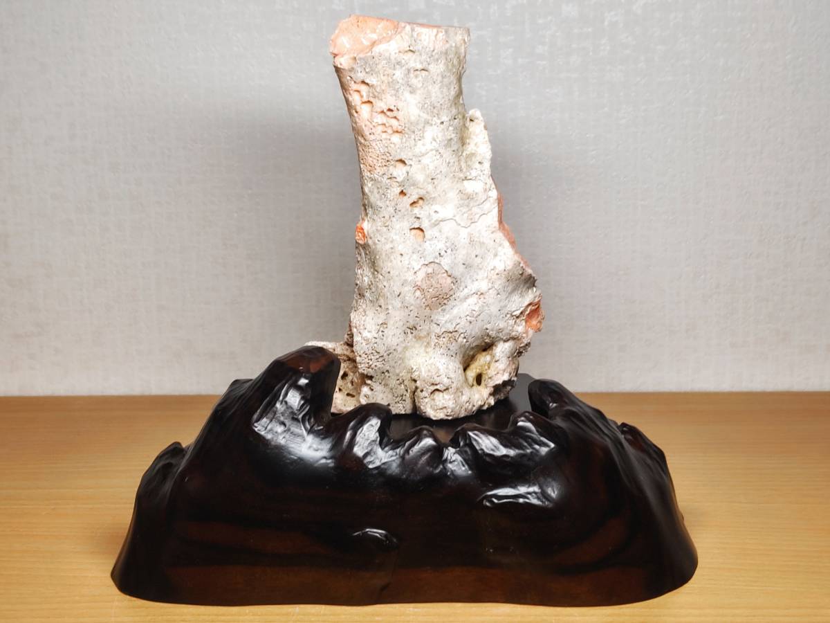 珊瑚彫刻 1.8kg 観音菩薩像 珊瑚 サンゴ コーラル 谷口康隆作 宝石