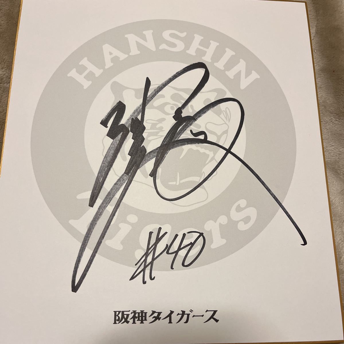 阪神タイガース井坪陽生選手直筆サイン球団ロゴ色紙中野拓夢佐藤輝明 