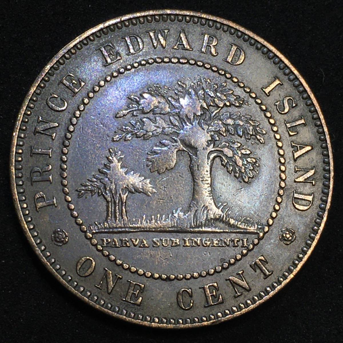 1871年 英領カナダ プリンスエドワード島 1セント 銅貨 ヴィクトリア 