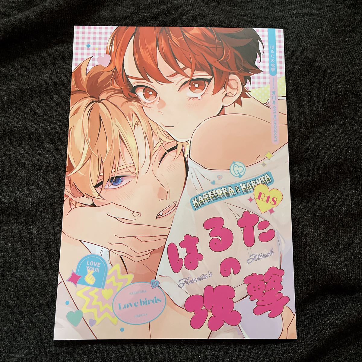 BL 斉川冬 はるたの攻撃 今夜ベッドで待っていろ 番外編 同人誌_1