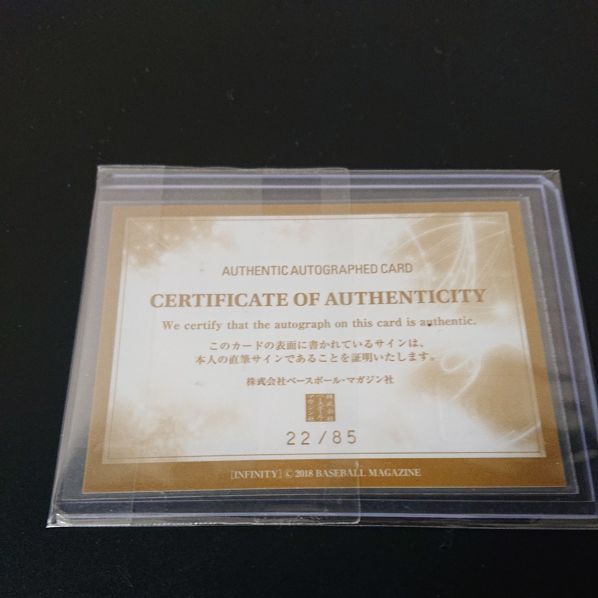 須藤元気】2018 BBM INFINITY 30枚限定 直筆サインカード 縦版 #13/30 MMA