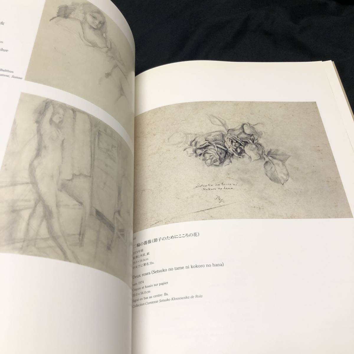 図録 バルテュス展 Balthus 東京ステーションギャラリー 1993-1994年の 