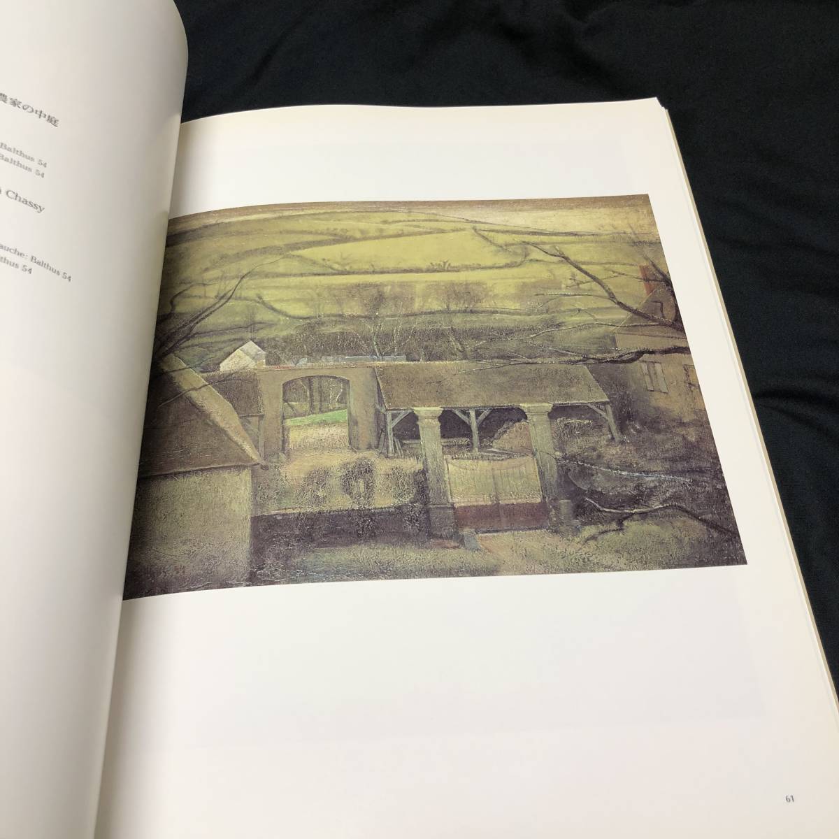 図録 バルテュス展 Balthus 東京ステーションギャラリー 1993-1994年の 