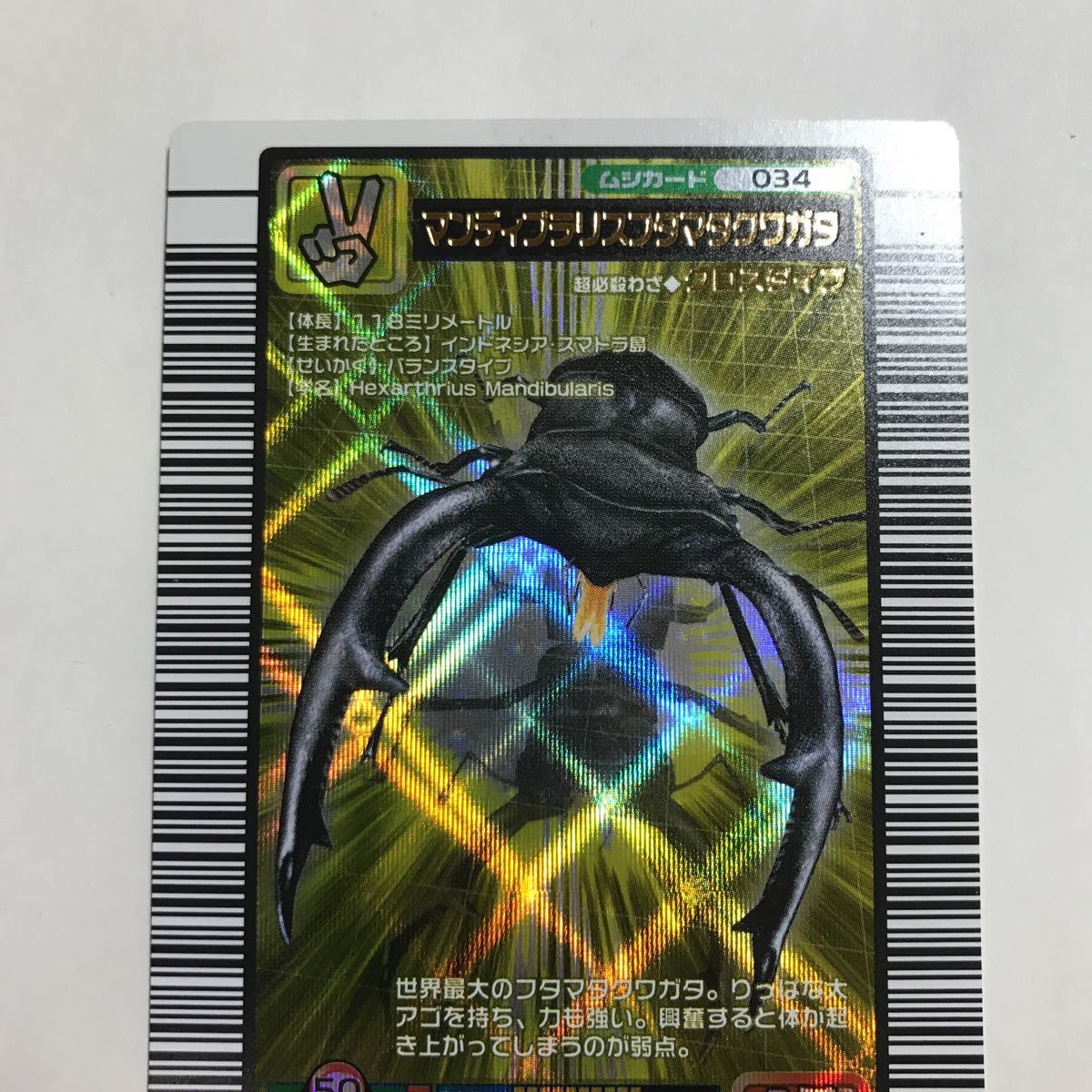 甲虫王者 ムシキング マンディブラリスフタマタクワガタ