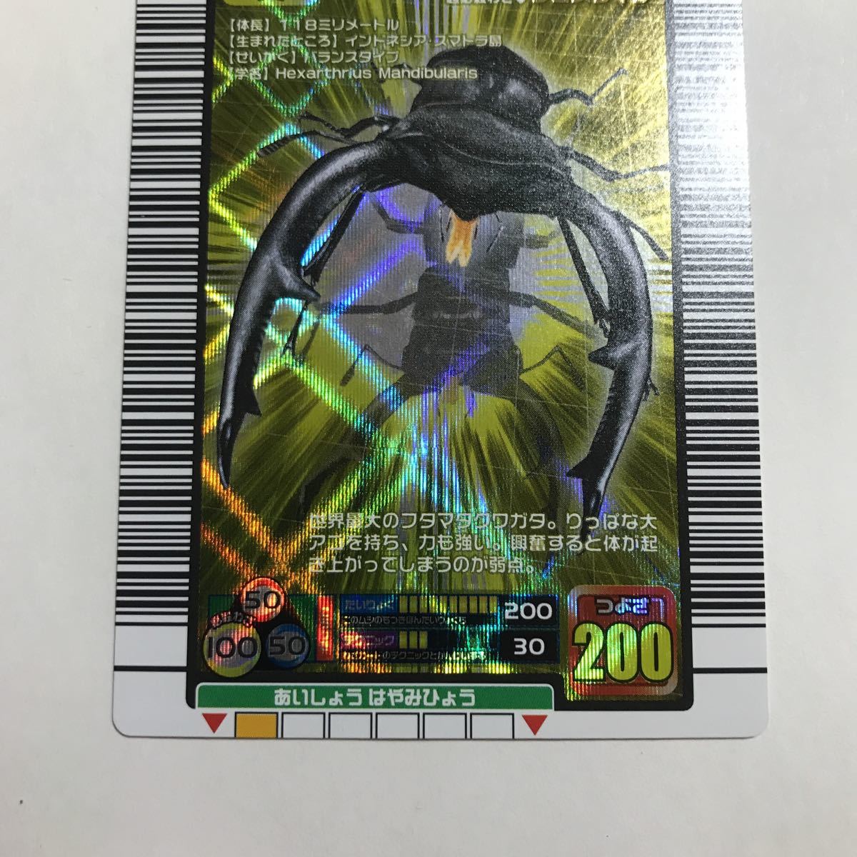 甲虫王者 ムシキング マンディブラリスフタマタクワガタ