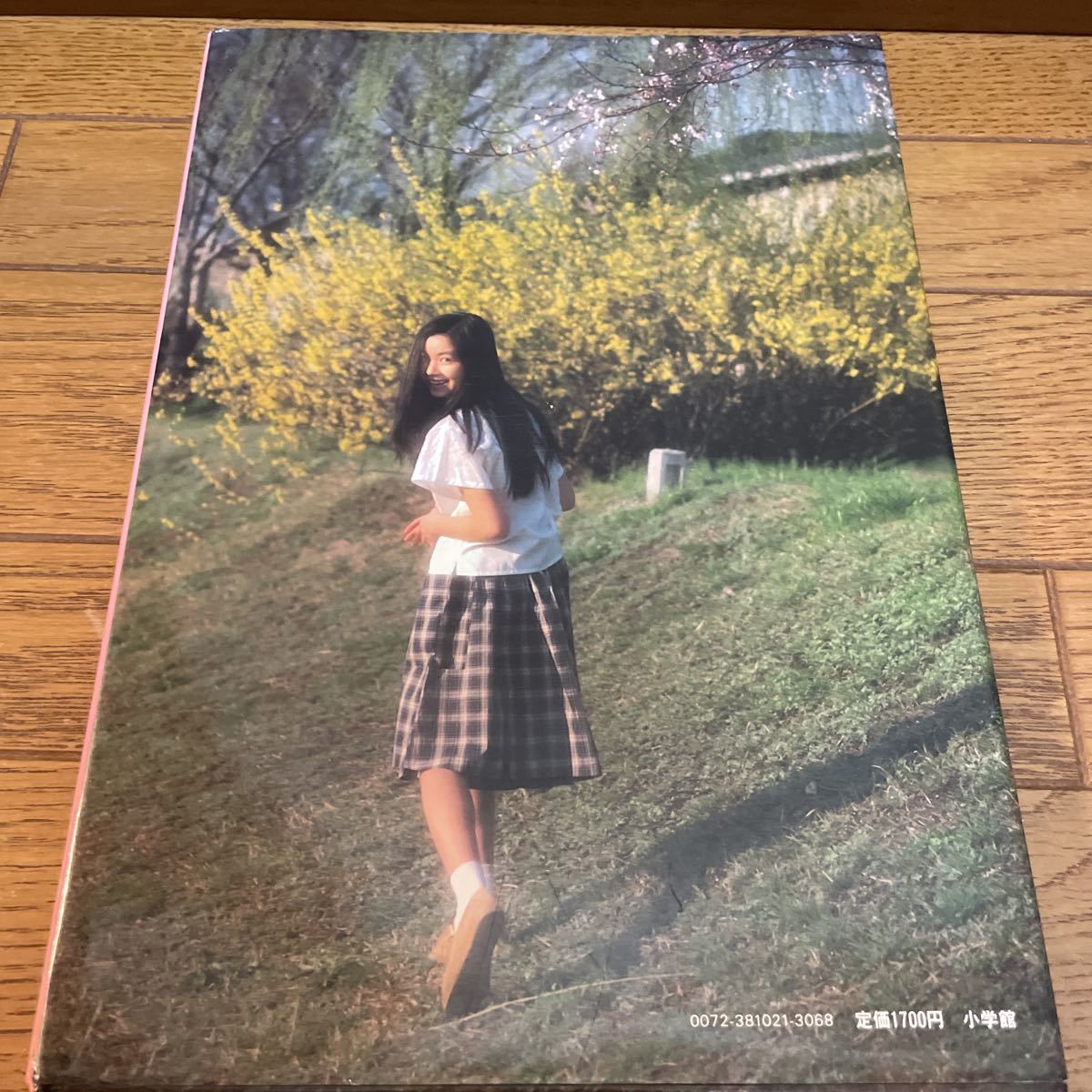 手塚理美 写真集 四色の花火 篠山紀信 の入札履歴 - 入札者の順位
