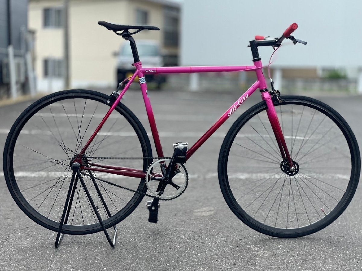 ☆ALL-CITY BIG BLOCK ピンクフェイド All City オールシティ ビッグ
