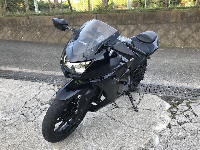 Ninja250R 社外マフラー付き！【533】説明動画　走行動画あり