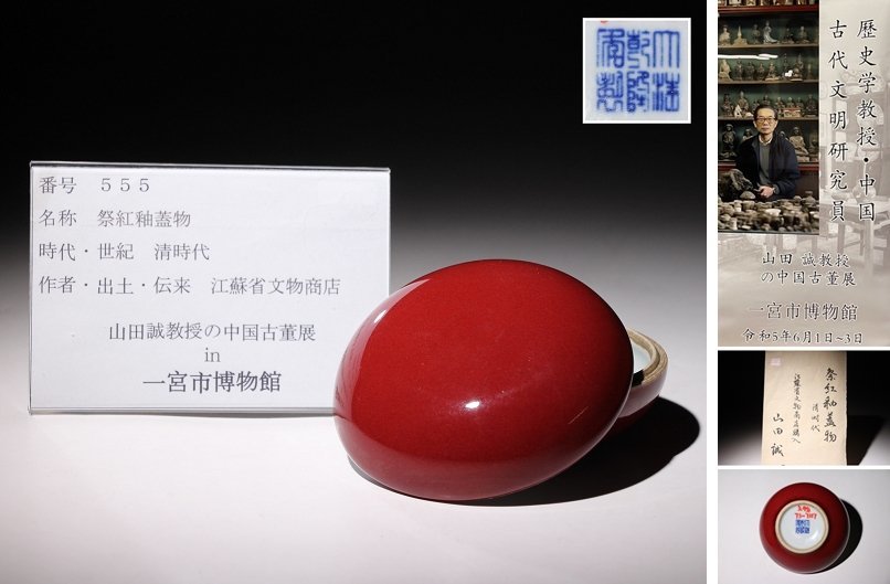 清時代 博物館展示品 祭紅釉長頸瓶 工芸品 文化遺産オンライン