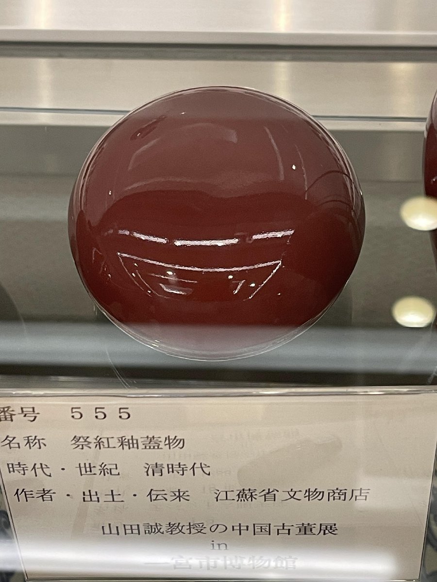 清時代 博物館展示品 祭紅釉長頸瓶 工芸品 文化遺産オンライン