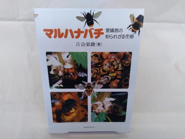 【人気，最新作】 マルハナバチ 片山栄助(生物学)｜売買されたオークション情報、yahooの商品情報をアーカイブ公開 - オークファン 生物学