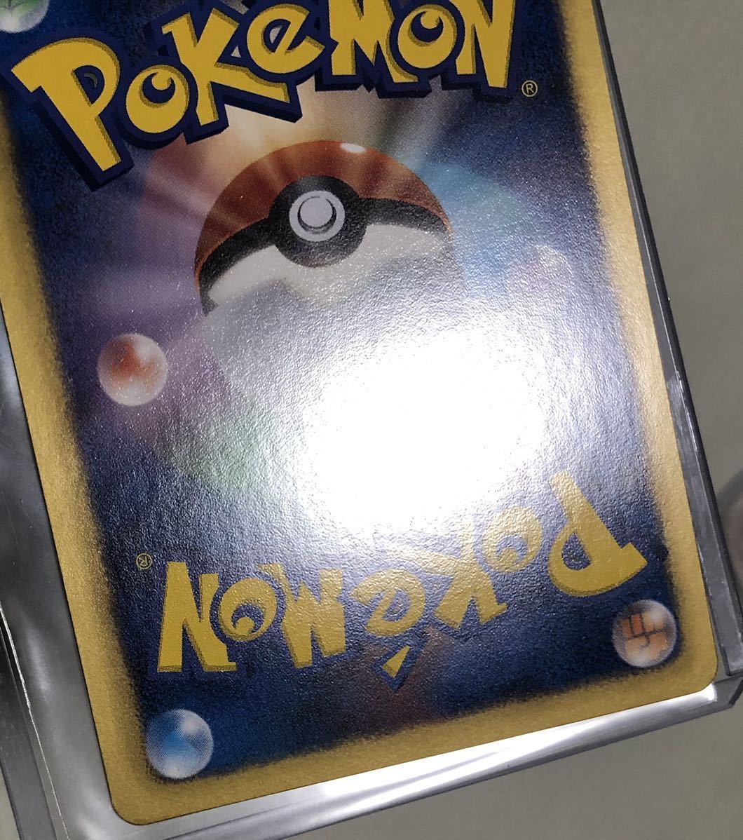 ポケモンセンター BW プロモ ポケモンカード ブイズ ブラッキー