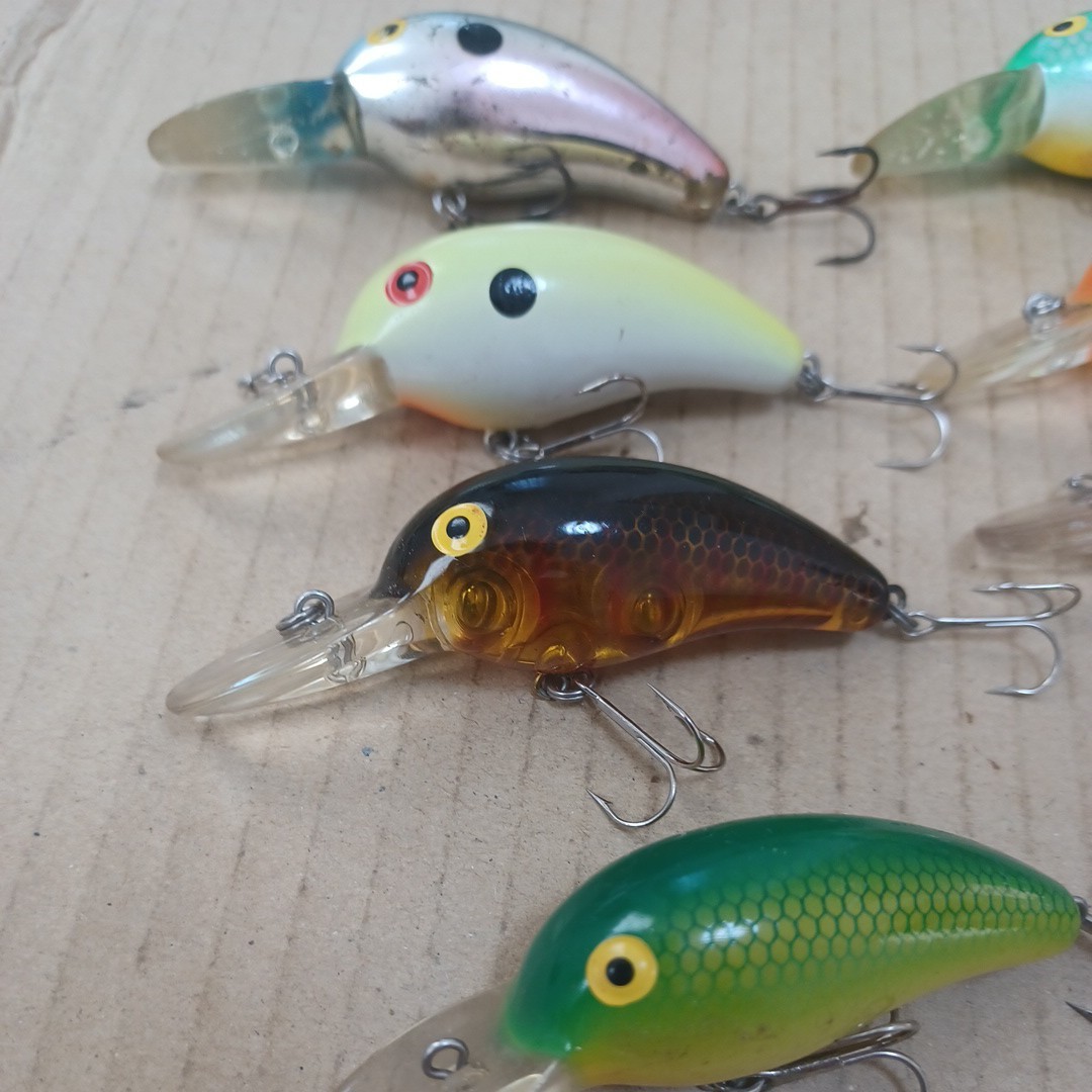 ダイワ　ピーナッツ2DR 7個セット　新品 ダイワ ピーナッツ2DR ダイワ ピーナッツ2DR 7個セット DAIWA⁄ダイワ
