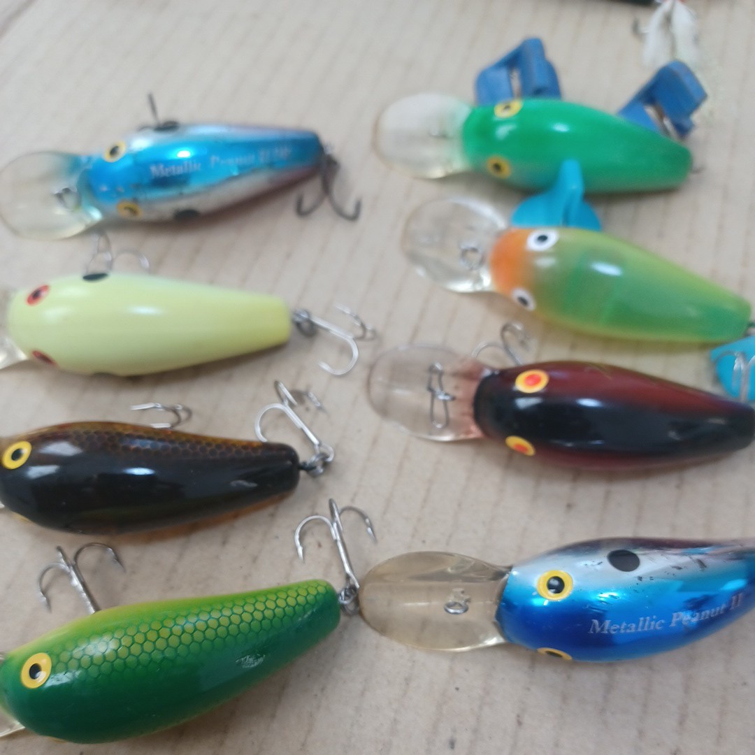 ダイワ ピーナッツ2DR ダイワ ピーナッツ2DR 7個セット DAIWA⁄ダイワ